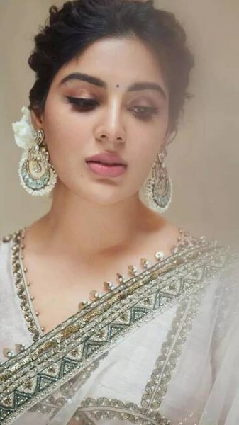 Samyuktha's Stunning Elegance: Mesmerizing in Ethereal Saree Styles