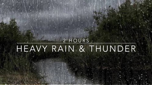 Windy Rain and Thunder Sound - Heavy Rain with Thunder - 2 Hours Rain Sounds for Sleep - Windy Rain