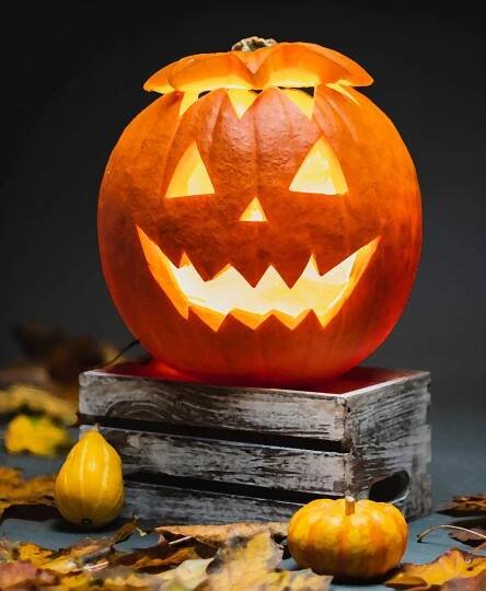 Pumpkin Symbolism (Is it Fall Already?!) – My WordPress