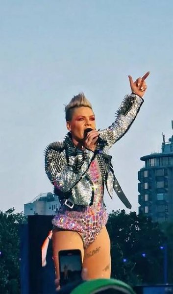 Zpěvačka Pink zůstala v šoku: Fanynka po ní během koncertu hodila popel svojí matky