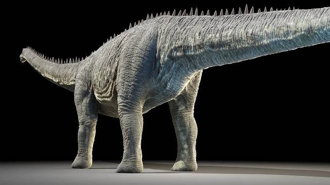 3D dinosaurs dinopack medium https://p.turbosquid.com/ts-thumb/Fb/j8cpyK/q0sxeVJJ/diplodocus0008/jpg/1609435803/1920x1080/fit_q87/497a3892c991b8d56c16c4cd9a79bb7dc64c4685/diplodocus0008.jpg