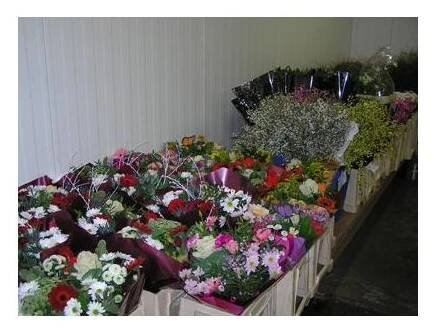 CUT FLOWERS foto 2