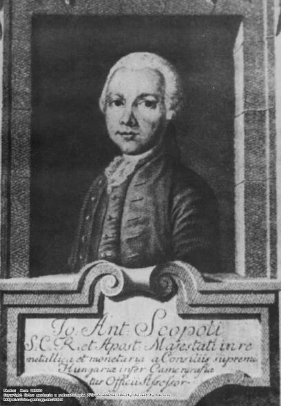 FOTO: Scopoli, Johann Anton (1723-1788) :: Fotoarchiv - Česká geologická služba