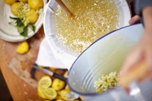 Jak na bezovku, neboli sirup z bezových květů - Culina Botanica