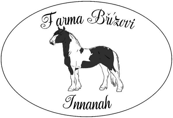 Irský cob