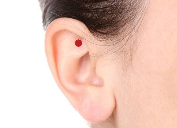 ear.jpg