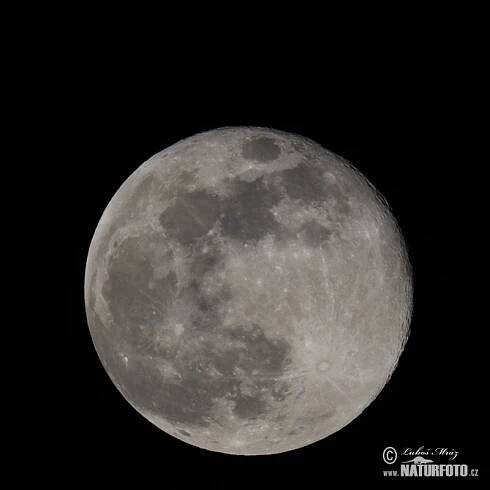 Moon - Full moon Photos, Moon - Full moon Images, Nature Wildlife Pictures | NaturePhoto