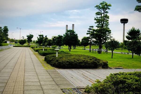 公園内の様子