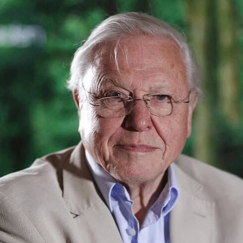 David Attenborough says sending food to famine-ridden countries is 'barmy'