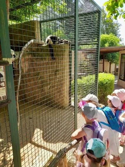 Výlet Kuřátek do ZOO Zájezd - Oficiální stránky ZŠ a MŠ Doksy