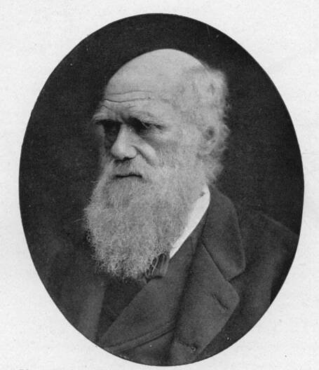 The Project Gutenberg eBook of The Outline of Science, Volume 1 of 4, by J. Arthur Thomson.