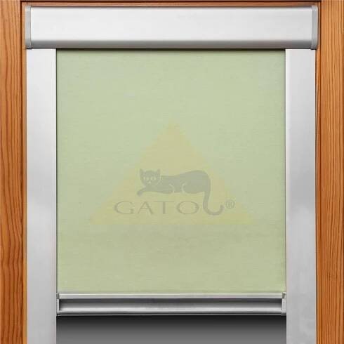 Fotografie | Gato