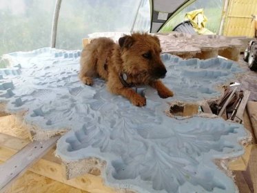 Cute dog using silicone mould as a bed.