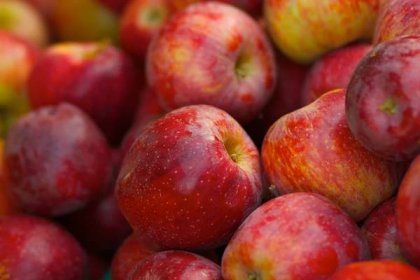 hromada červených braeburn jablek - jablko breaburn - stock snímky, obrázky a fotky