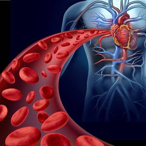 Za problémy s cholesterolem může být štítná žláza
