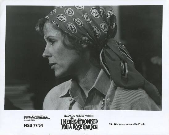 Nikdy jsem ti neslibovala růžovou zahradu - Fotosky - Bibi Andersson