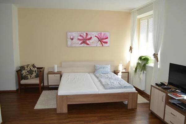 PENZION SOKOLSKA - Prices & Pension Reviews (Zlin, Czech Republic)