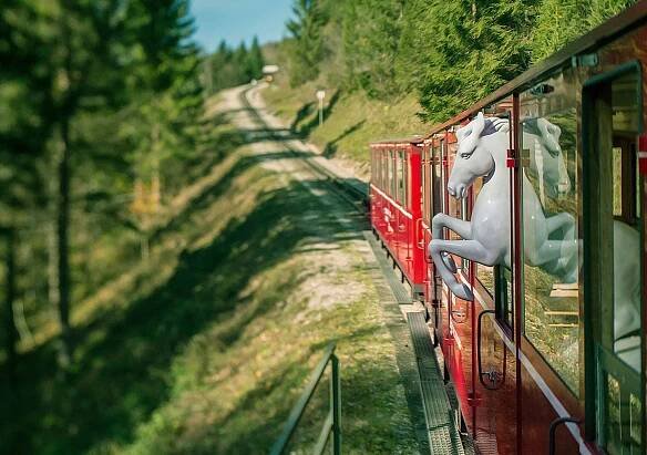 Skulptur des Weissen Rössels in der fahrenden Schafbergbahn