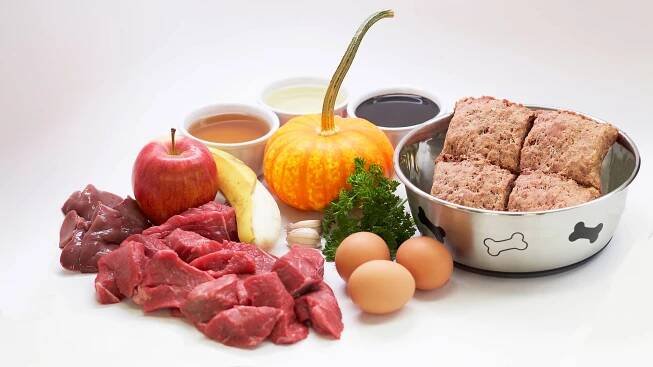 Barf dieta pro psy: Průvodce ingrediencemi, množstvím, tipy