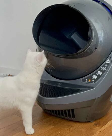 litter robot 3 connect