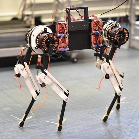 Robot dog with ‘virtual spinal cord’ learns to walk in just one hour