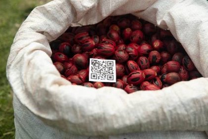 Transforming sustainable food systems through transparency and digital inclusion