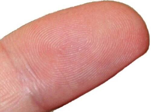 Biometrie – Wikipedie