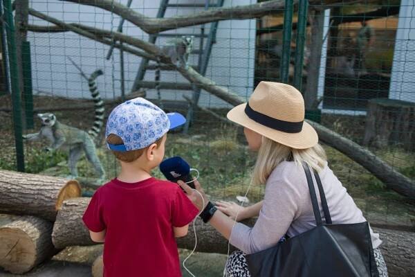 Nový zoopark v Nehvizdech u Prahy obývají domácí i exotická zvířata. Uvidíte tam více než 120 druhů | Střední Čechy