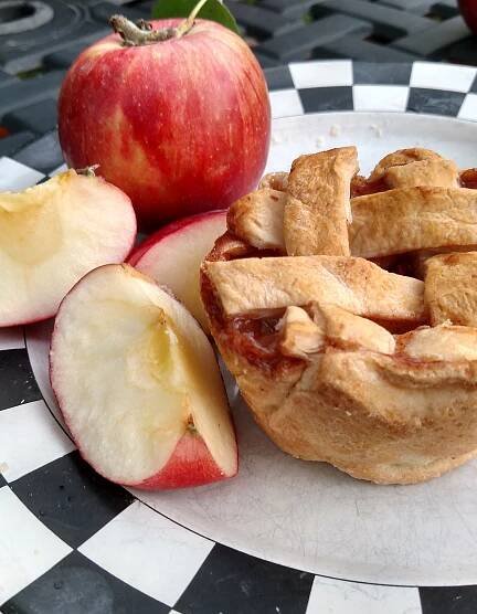 Mini Apple Pies - Martin's Hillside Orchard
