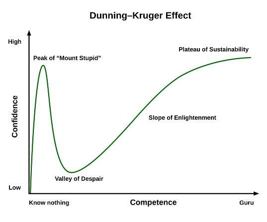File:Dunning–Kruger Effect 01.svg - Wikimedia Commons