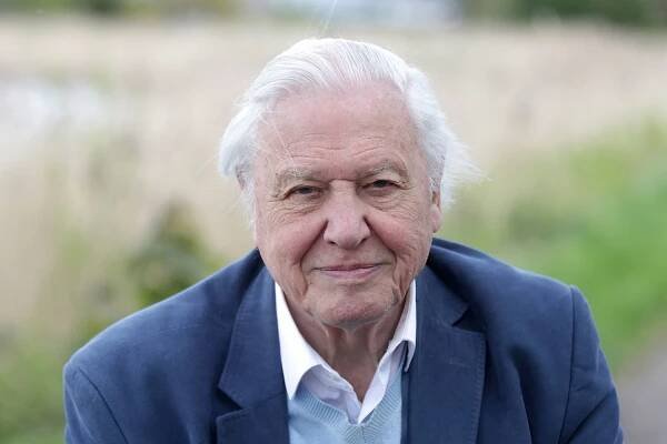 Image may contain Clothing Suit Overcoat Coat Apparel Human Person and David Attenborough