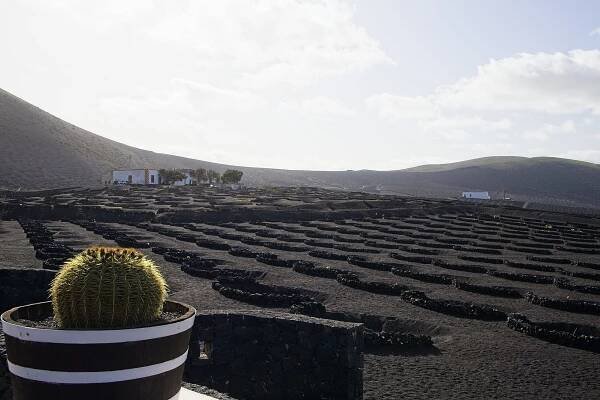 Spanien – Lanzarote – Dezember 2020 – ASC Photography