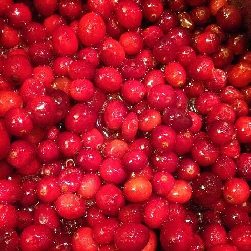 The Essential Guide to Christmas Dinner – The Sides – A Glass of Red Wine