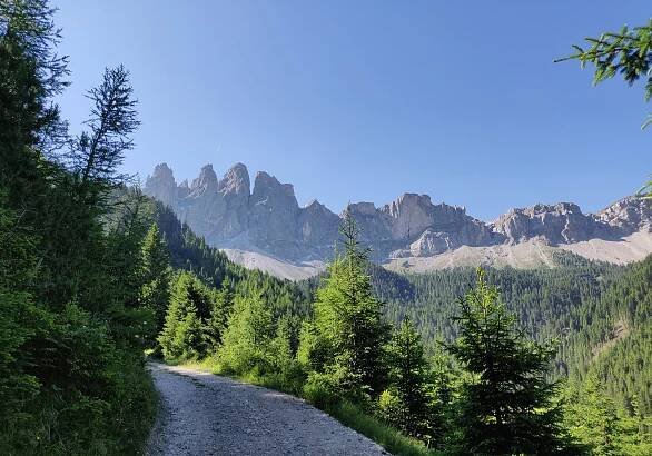 Wandern im Sommer