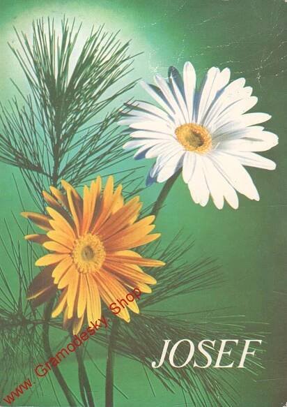 Pohlednice, Žlutá a bílá gerbera, Josef, popsaná