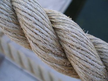 File:SuperMacro Rope.JPG - Wikimedia Commons