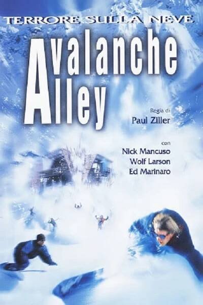 Avalanche Alley 40% (2001)