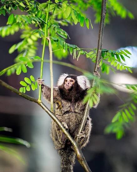 Universeum - Oscar Foto