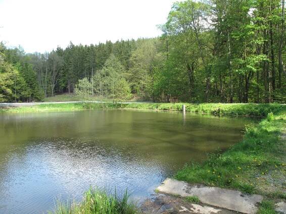 Pilský rybník (Jevany)