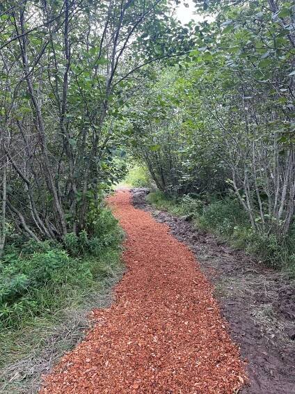 Trail Day — Islesboro Islands Trust
