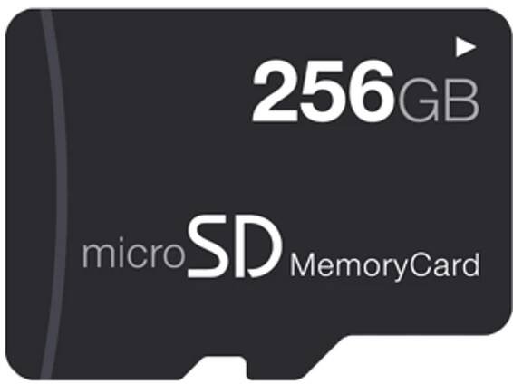 micro-sd-256gb-test
