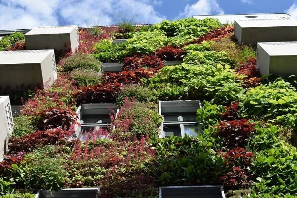 Udržitelná architektura | TVarchitect.com