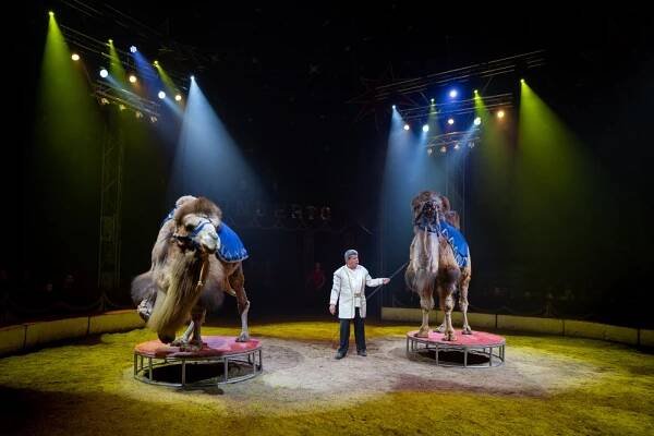 Cirkus Humberto jede do Havířova s cílem zbořit limity, čeká se velká návštěva
