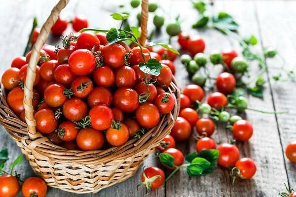 Koš rajčat vyzvala dřevěné pozadí, čerstvých cherry rajčat vyrábět na místním trhu — Stock obrázek