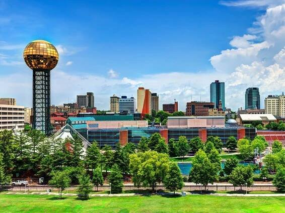 Pet Insurance in Tennessee for Dogs and Cats | Spot Pet Insurance