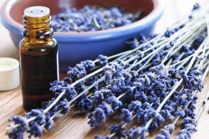 Sušená levandule bylinkami a základní aromaterapie oleje — Stock obrázek