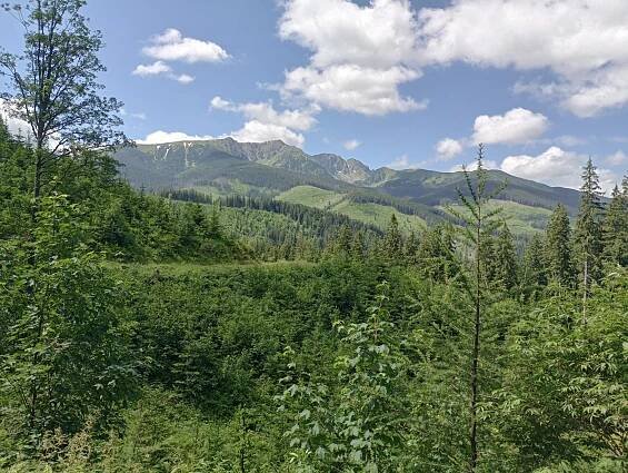 Bike & hike: Jánskou dolinou do Svidovského sedla a na Ohnište | HIKING.SK