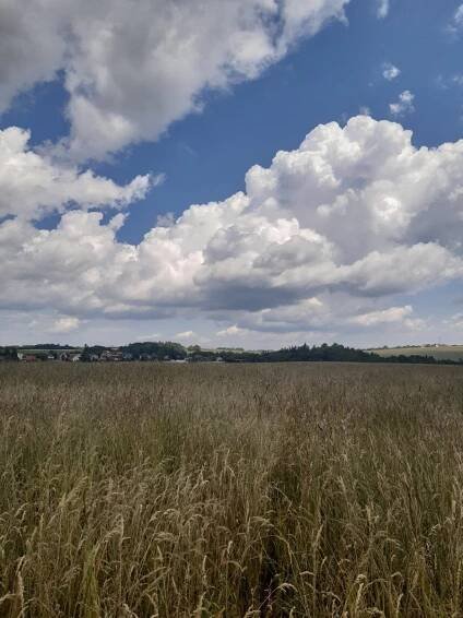 ZdenkaV - výlet Bílovec - Jilešovice - Vrcholovka.cz