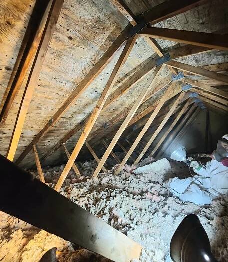 Attic mold removal markham