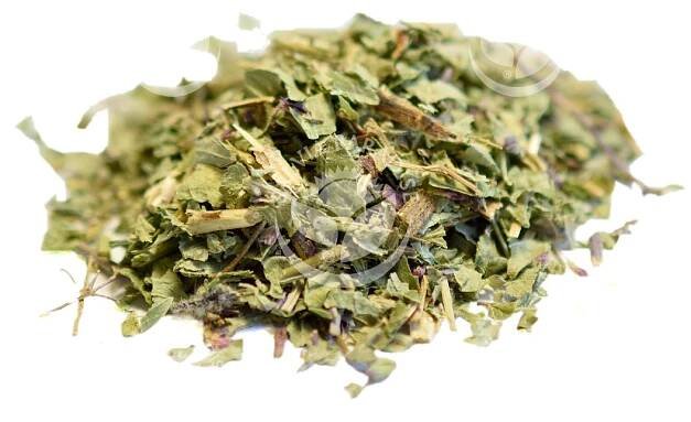 Salvia Paradise Dobromysl nať 100g